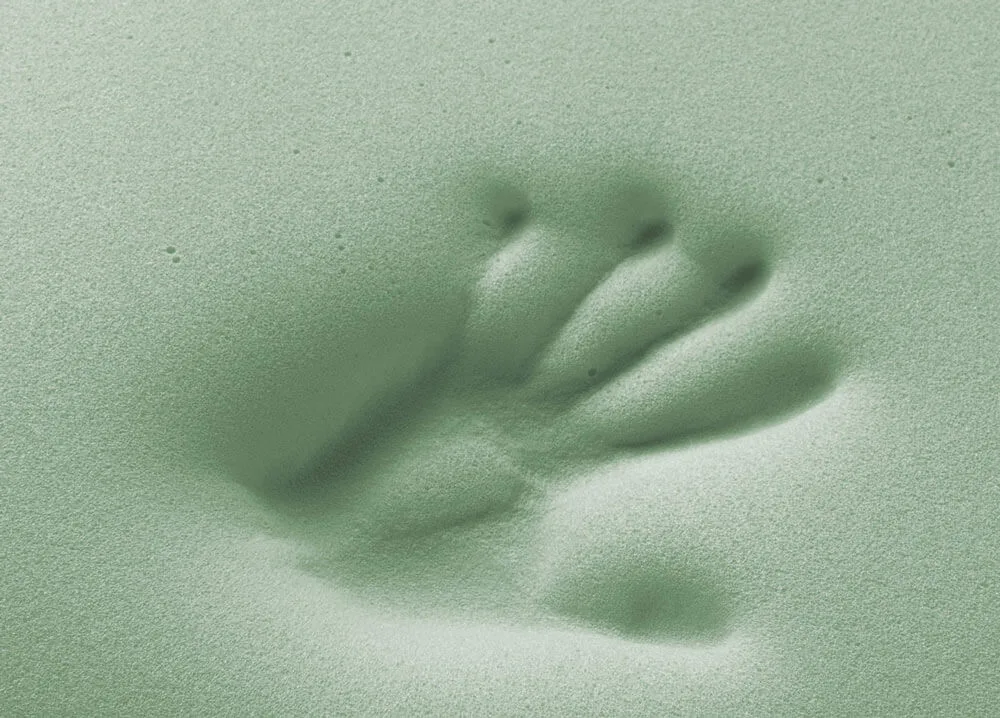 Materassi matrimoniali Monza